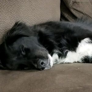 Meet your Posher, Veronica